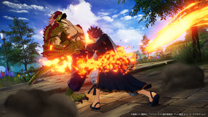 FAIRY TAIL 2 - GUILD BOX - STEAM®